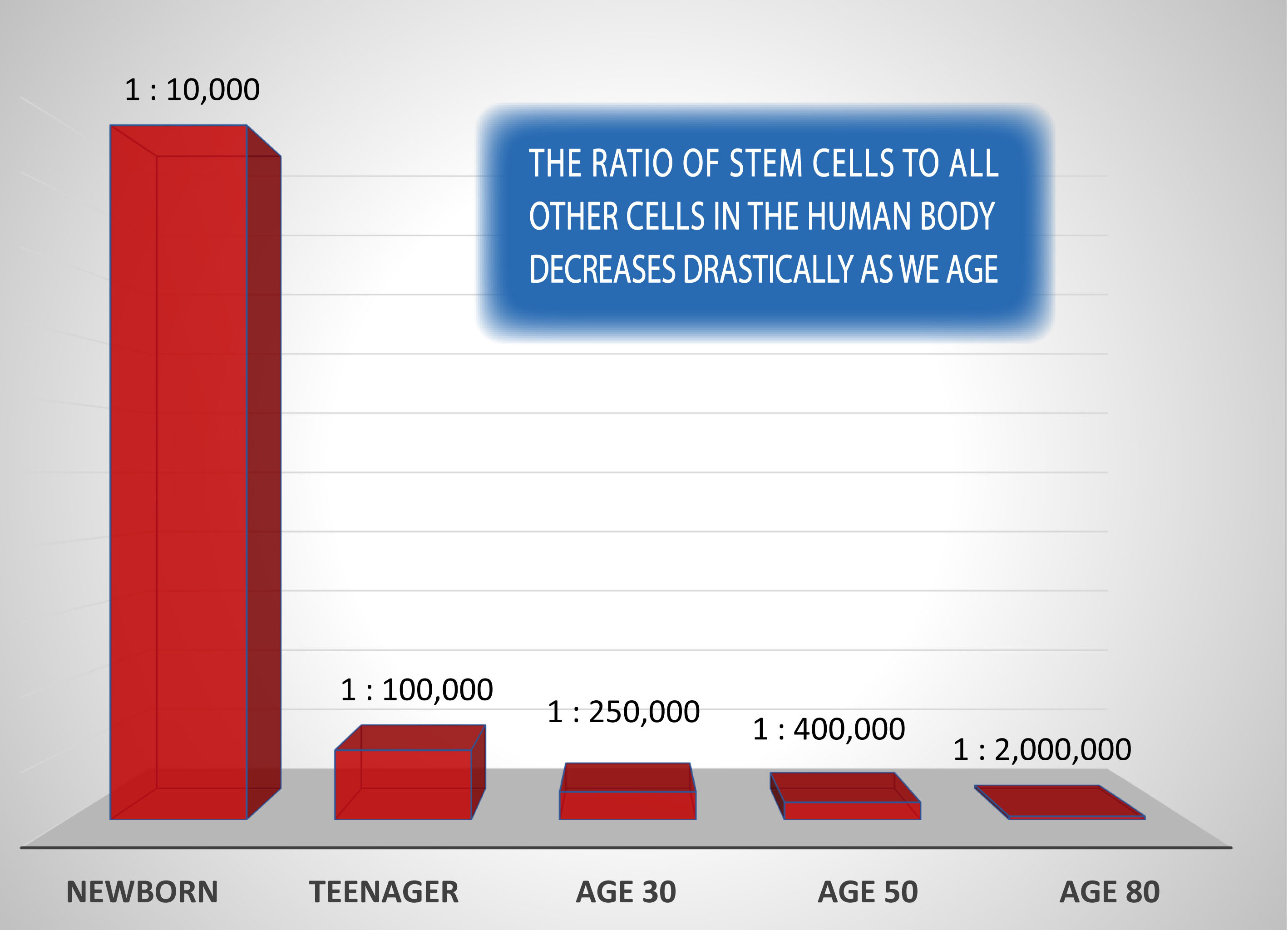 Stem Cells as We Age